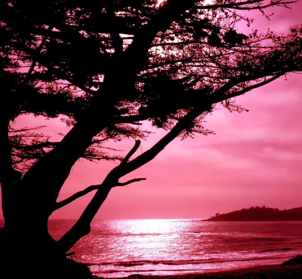 陈风月诗经原文,诗经陈风月出全文注音