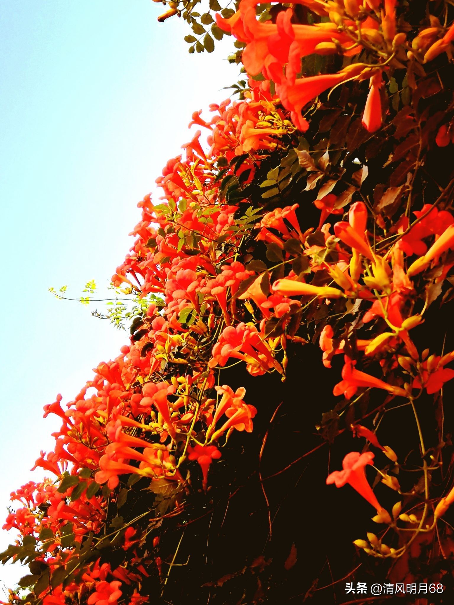 如何指导家长进行有效的家庭教育,家庭教育家长必须依法带娃心得