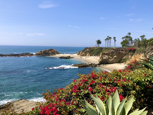 一月十六日下午俄乌战况如何,俄乌冲突每日局势最新战报