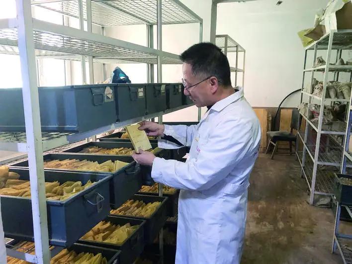 帮助200人减肥成功的营养师,有专业营养师指导减肥是骗人的吗