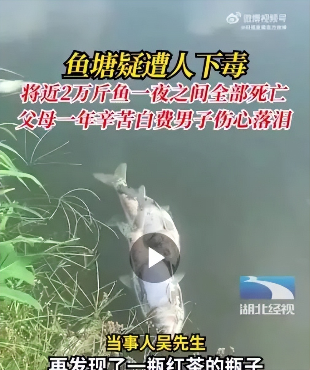 上海的房子为什么顶楼最贵,上海的房子怎么那么贵段子