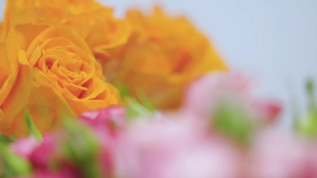 云花大结局云花和谁在一起了,斗南云花