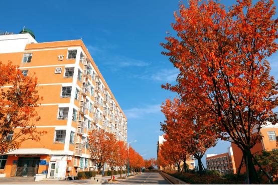 绵阳南实中学实验学校和南山双语,绵阳南山中学实验学校