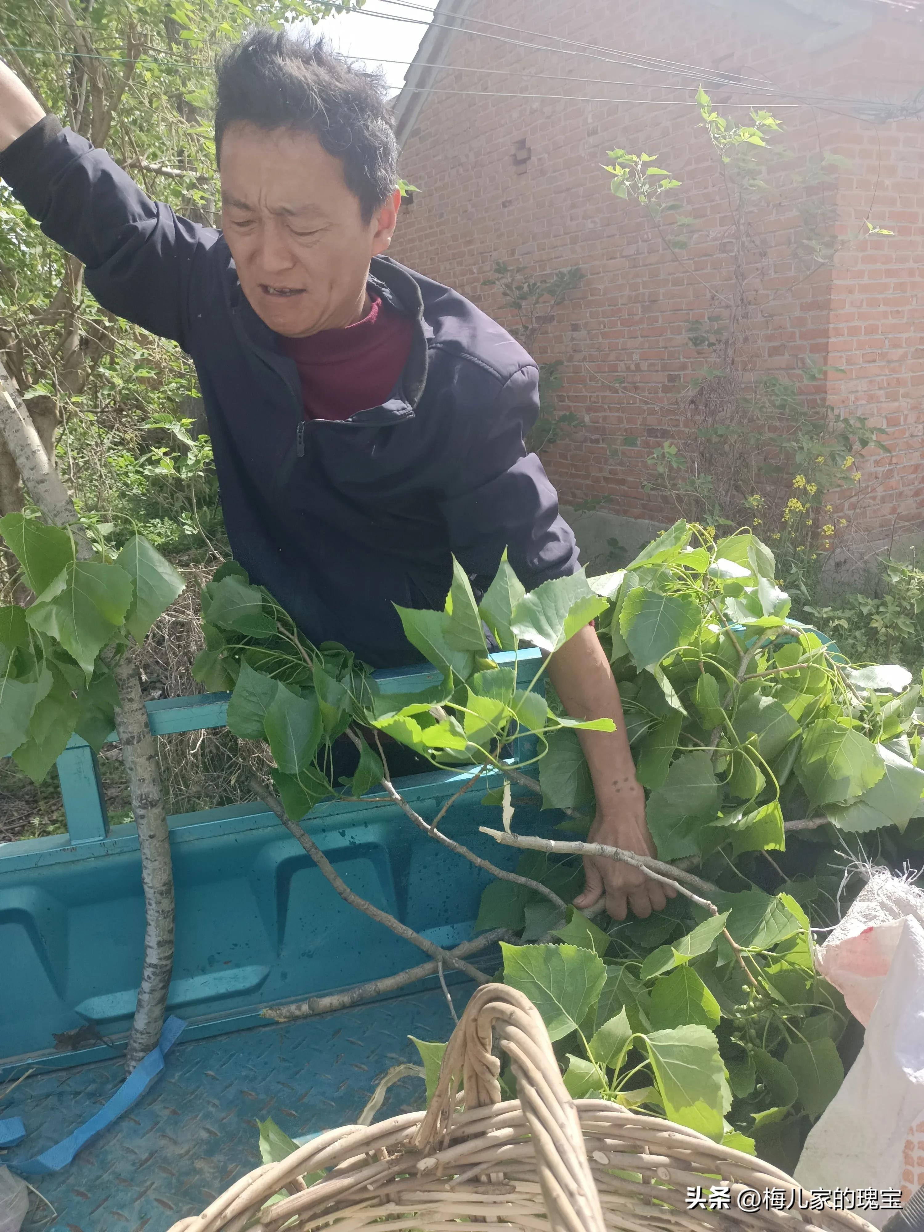 两次阴超检查男医生更温柔，动武的男人心胸狭隘，女医生能胜任吗