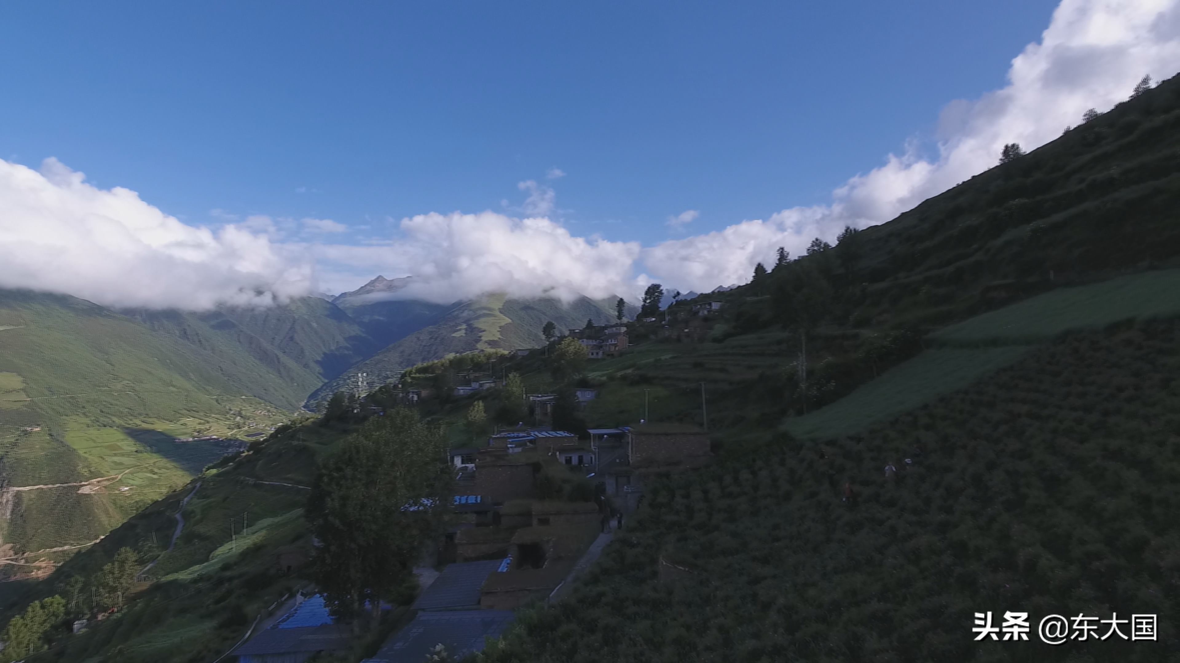 野猪“刺”激来的玫瑰花——玫瑰姐姐和她的美丽经济