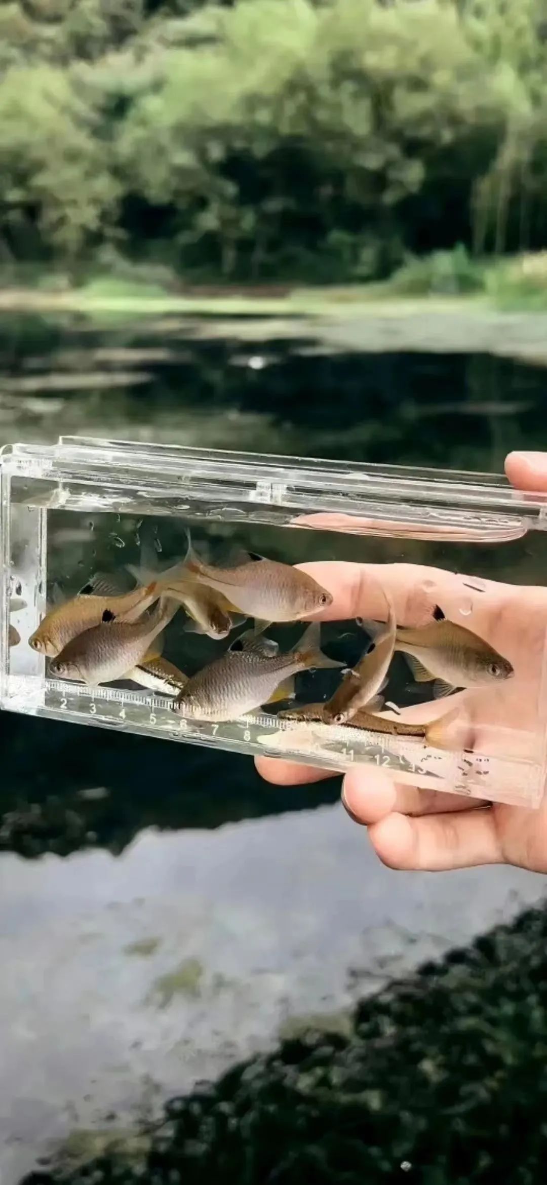 可爱的卡通男女背景,女生聊天背景可爱卡通