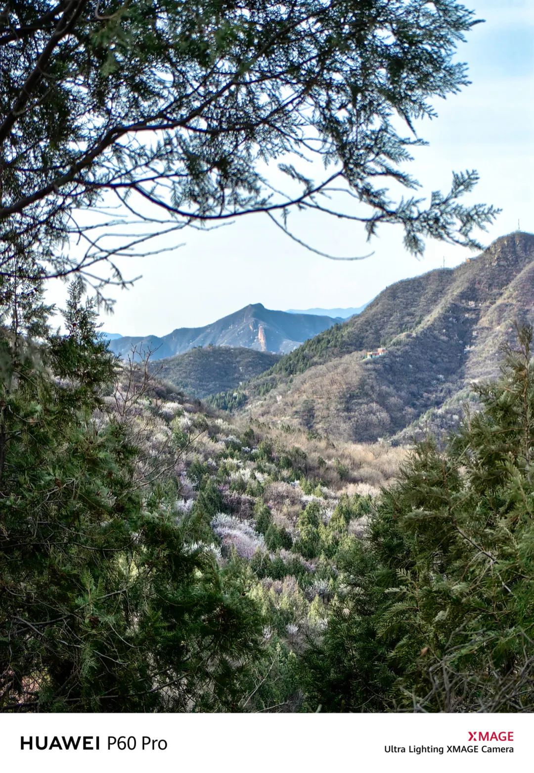 华为p60pro拍照样张原图,华为p60pro拍摄照片样张