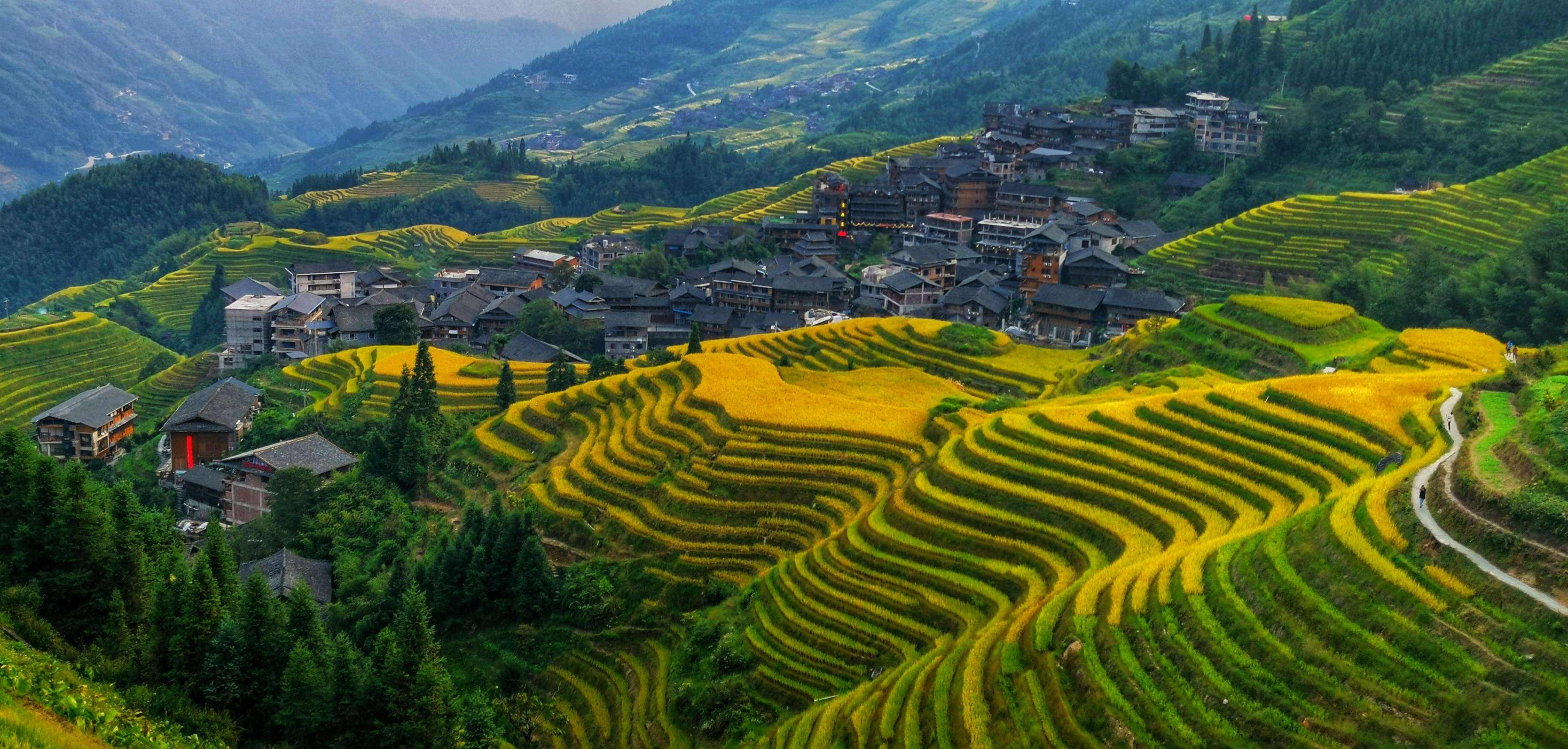 桂林详细五日游攻略大全,暑假去桂林攻略三日游