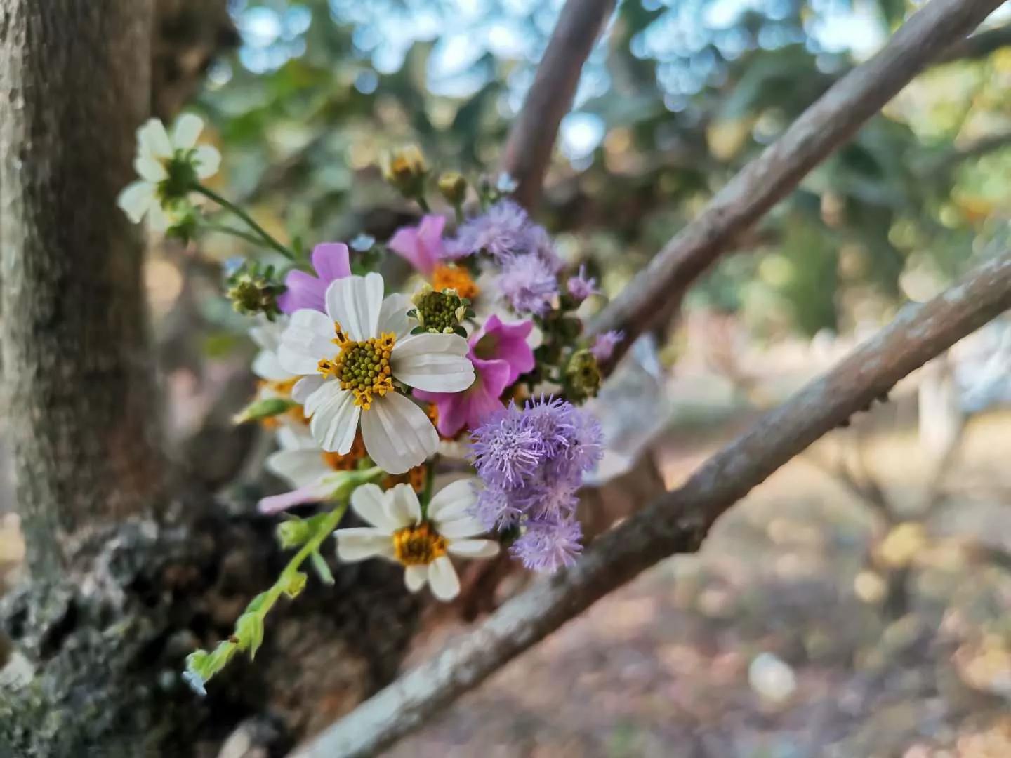 诗经中秋节最唯美的句子,中秋节朋友圈说说唯美句子