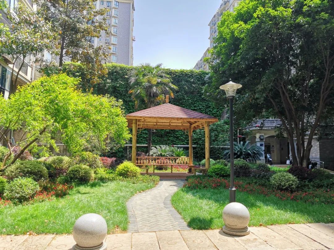 小区旧貌换新颜居民送感谢信,社区居民送锦旗感谢社区暖心人