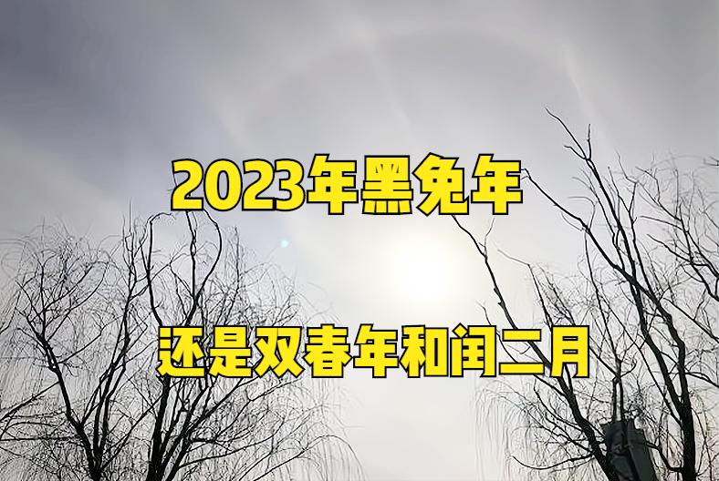2023年是双春黑兔年吗,2023年是黑兔年说法是真的吗