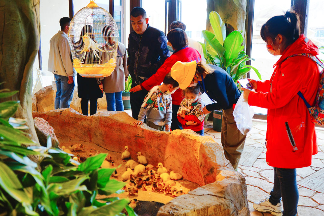 比年味谁更浓？谁能比得过花灯锦簇的栖云！