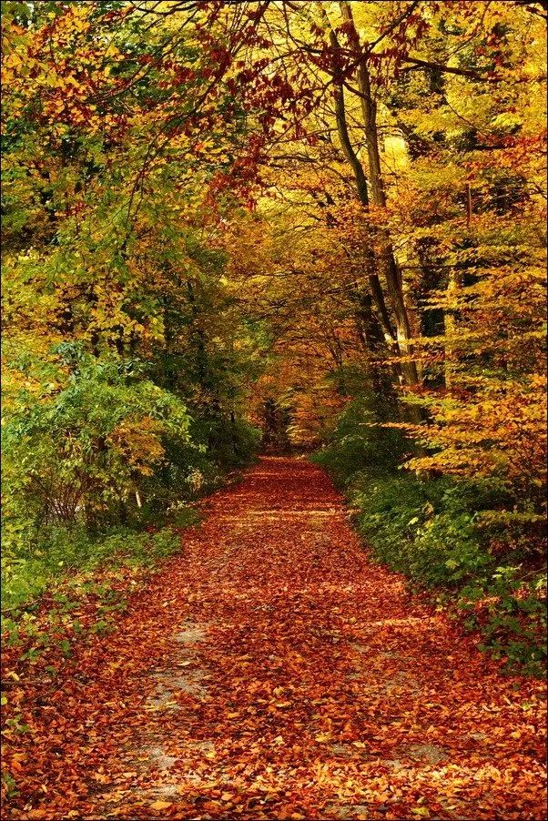 100幅经典摄影作品欣赏,100幅精品摄影图