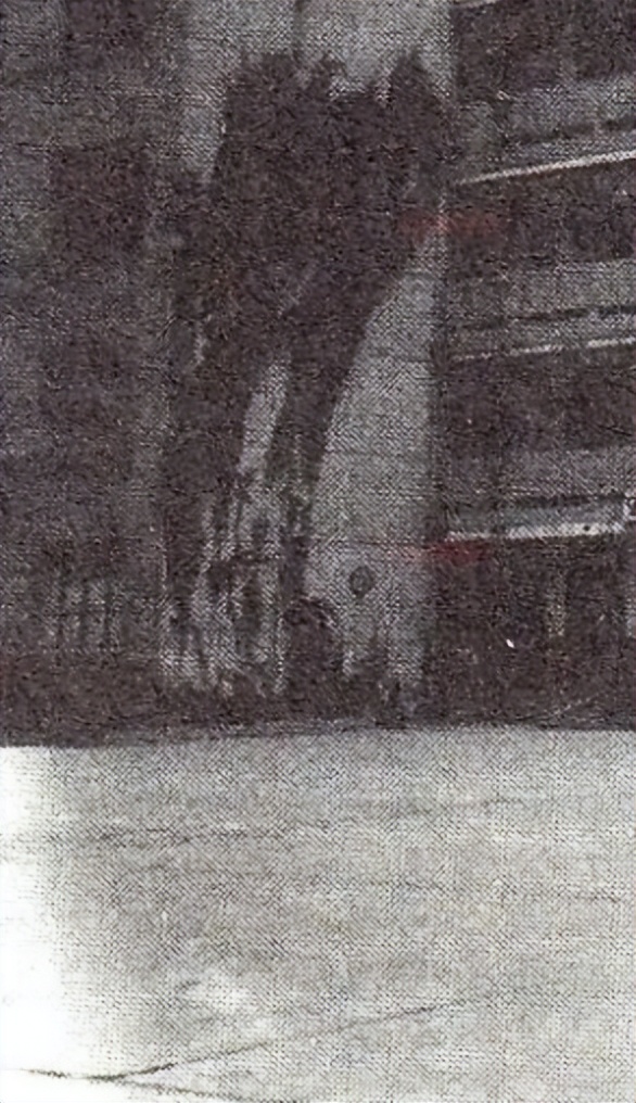 许昌市第九至第二十中学演变：母校，你去哪了？