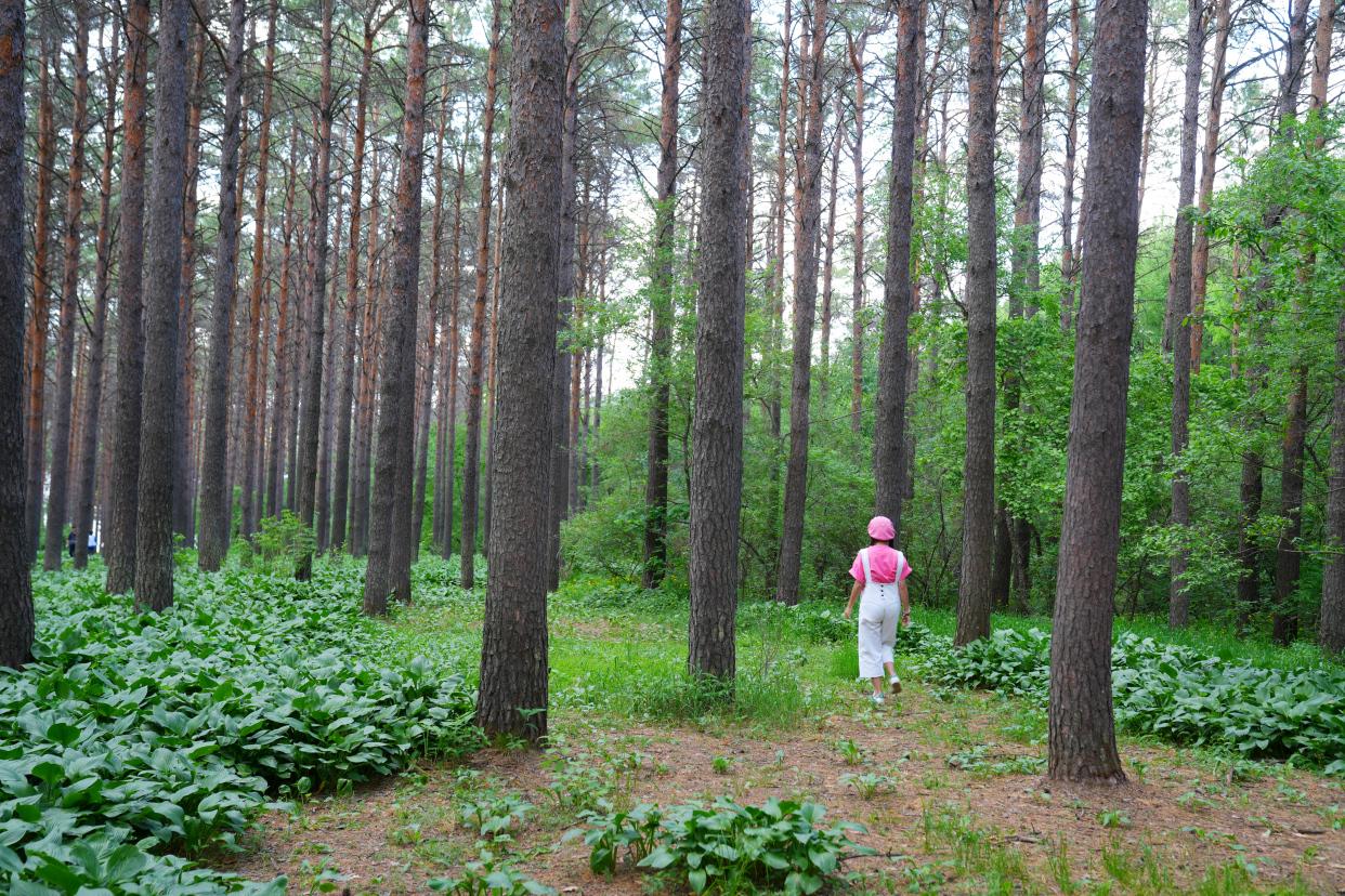 长春文化游,探寻长春的美食景点和文化