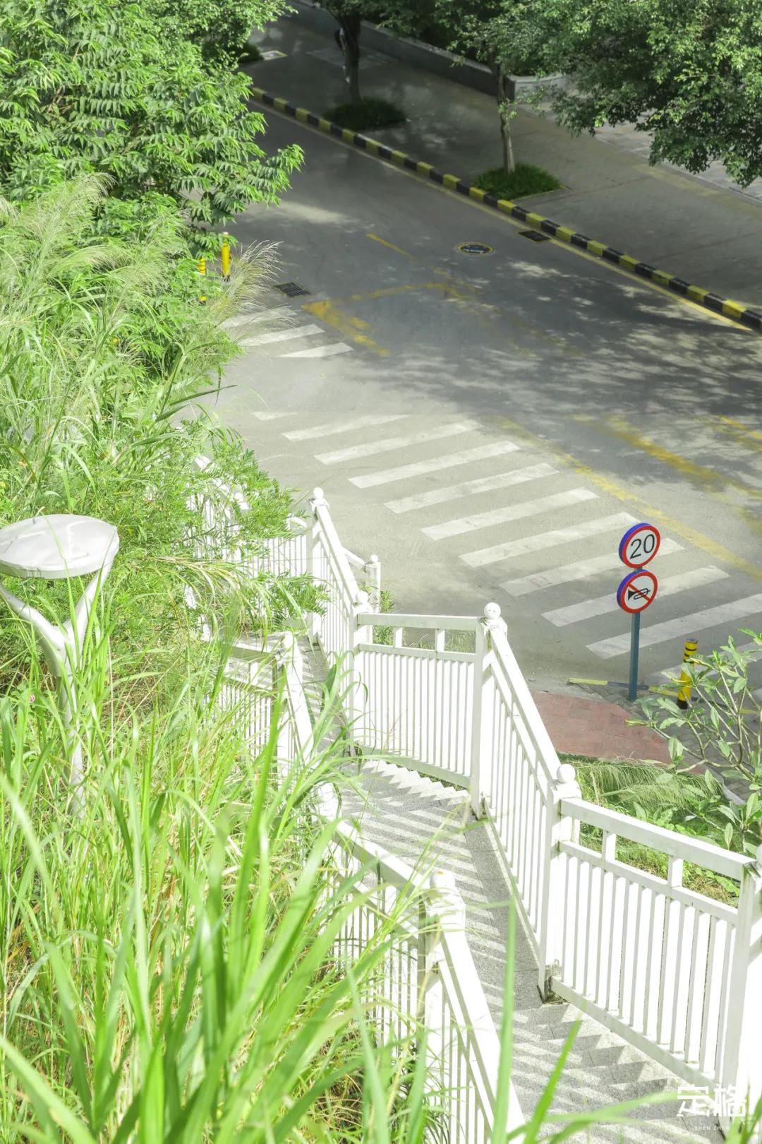 深圳百米长「纯白登山梯」，打卡绝了