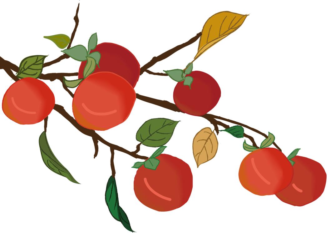 四时如歌|碧水惊秋，黄云凝暮，佳节又重阳