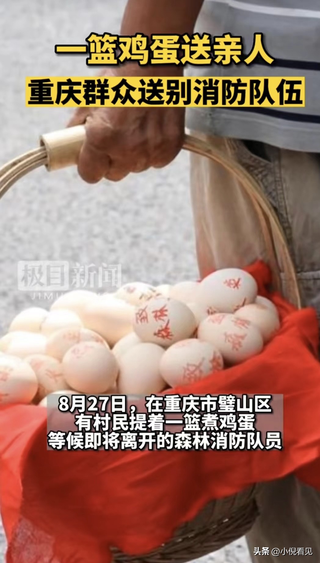 重庆山火用血肉筑起了长城,关于重庆山火的感人瞬间