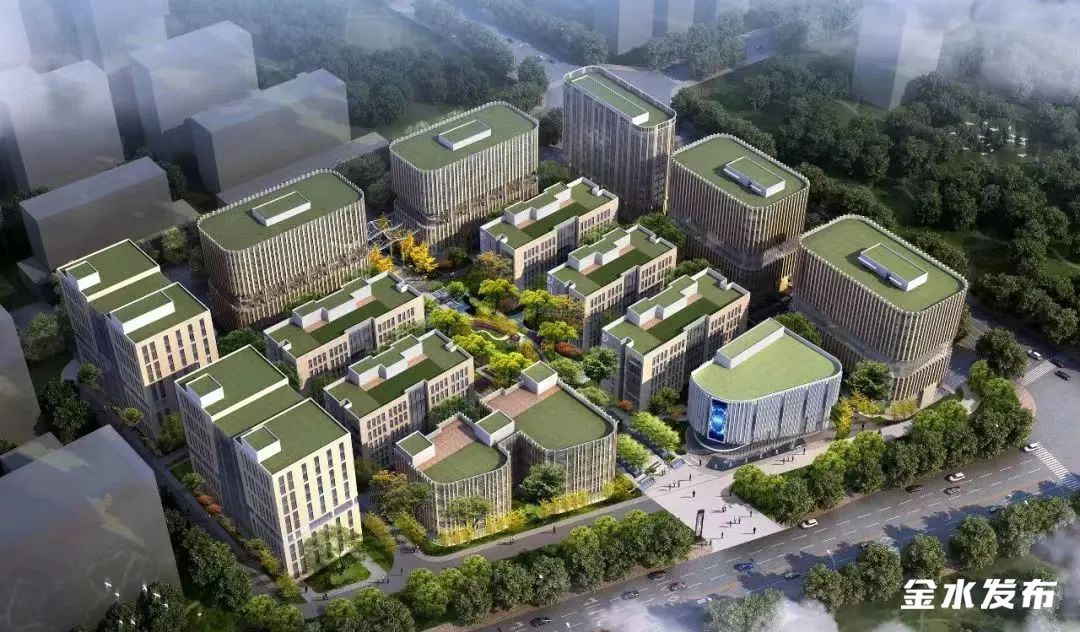 百强区排名金水,金水区全国百强区排行