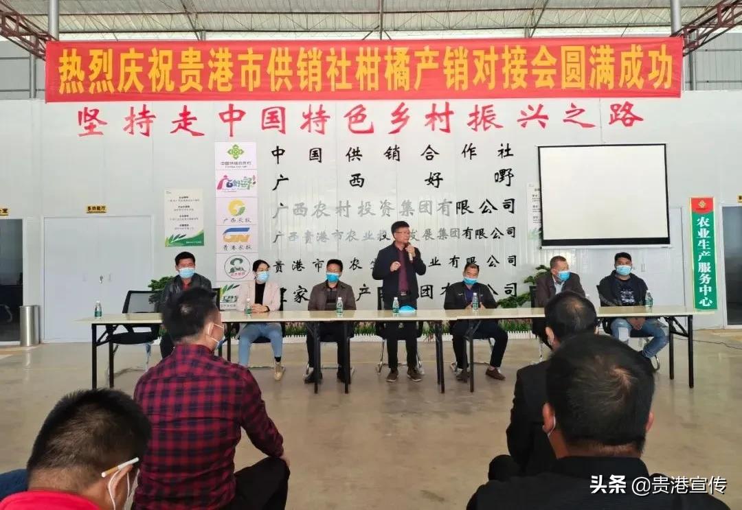 我为群众办实事与乡村振兴相结合,供销社助农增收工作总结