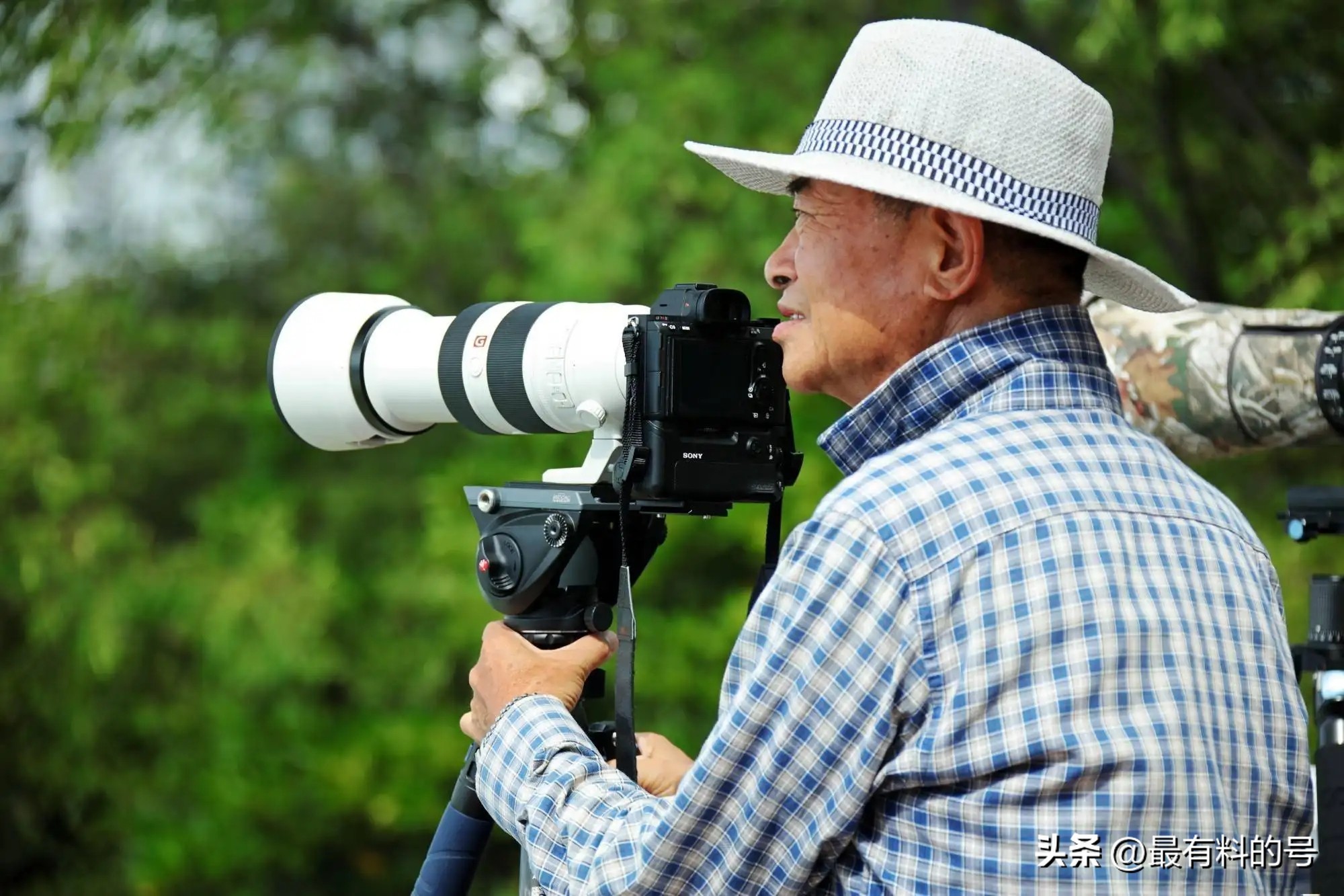 尼康z5微单镜头推荐性价比高,全画幅尼康性价比高的微单