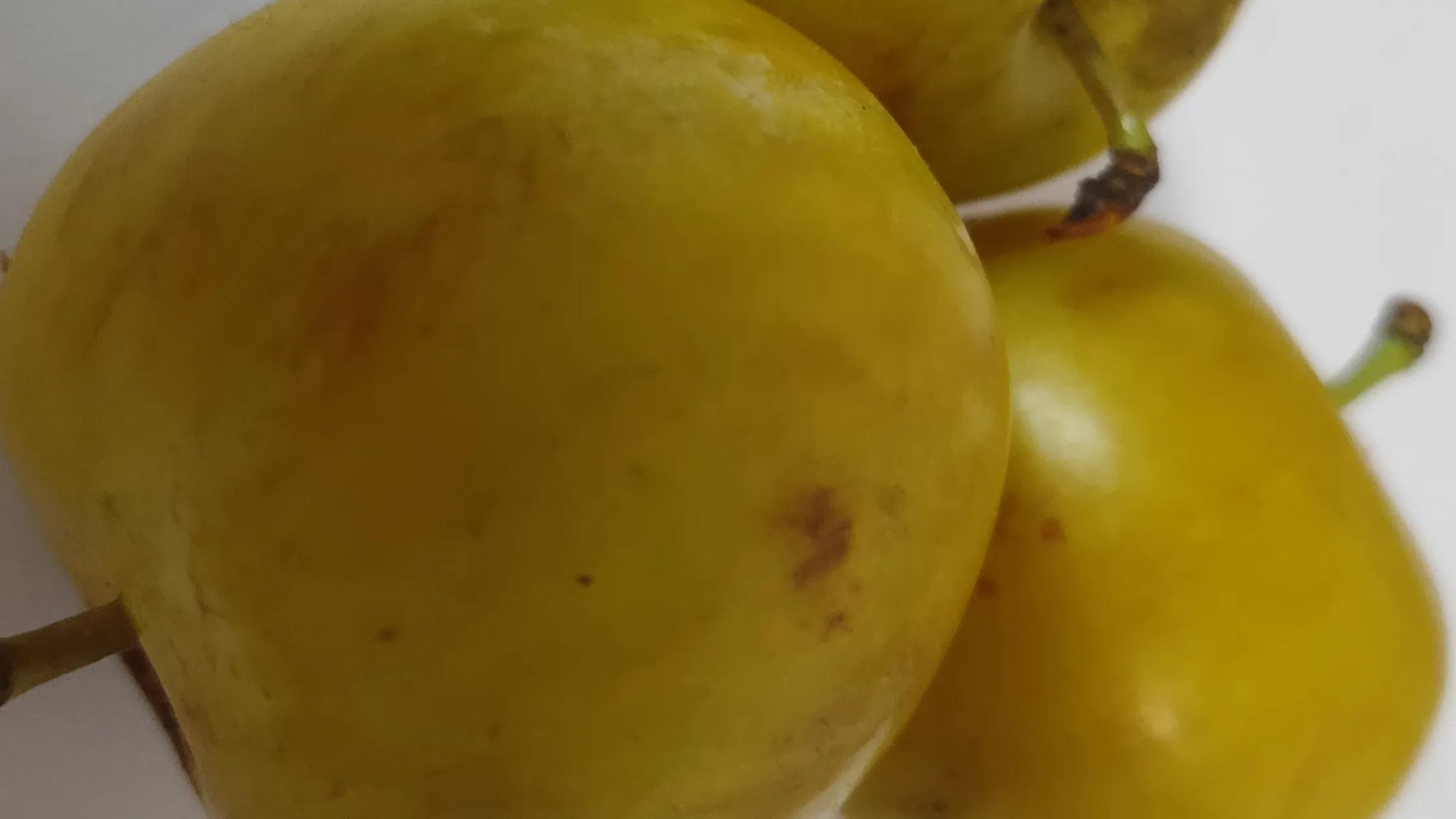 中视频计划会违规吗,中视频计划申请违规怎么处理