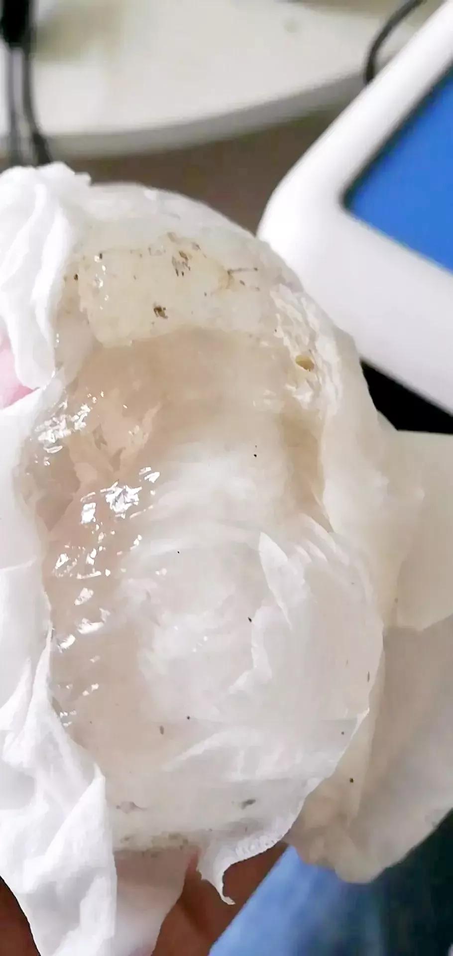 鎻瀹剁數鍐呭箷,瀹剁數鍐呭箷