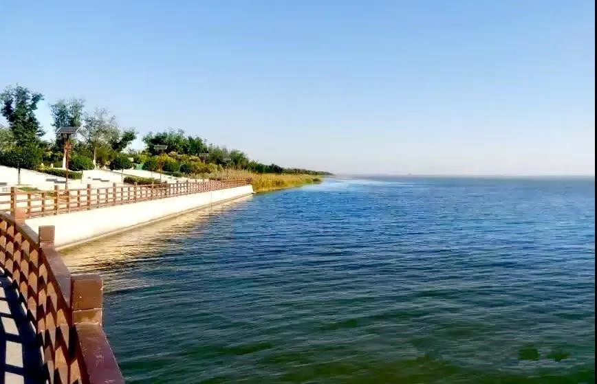 郭小川团泊洼的秋天,团泊洼的秋天读后感