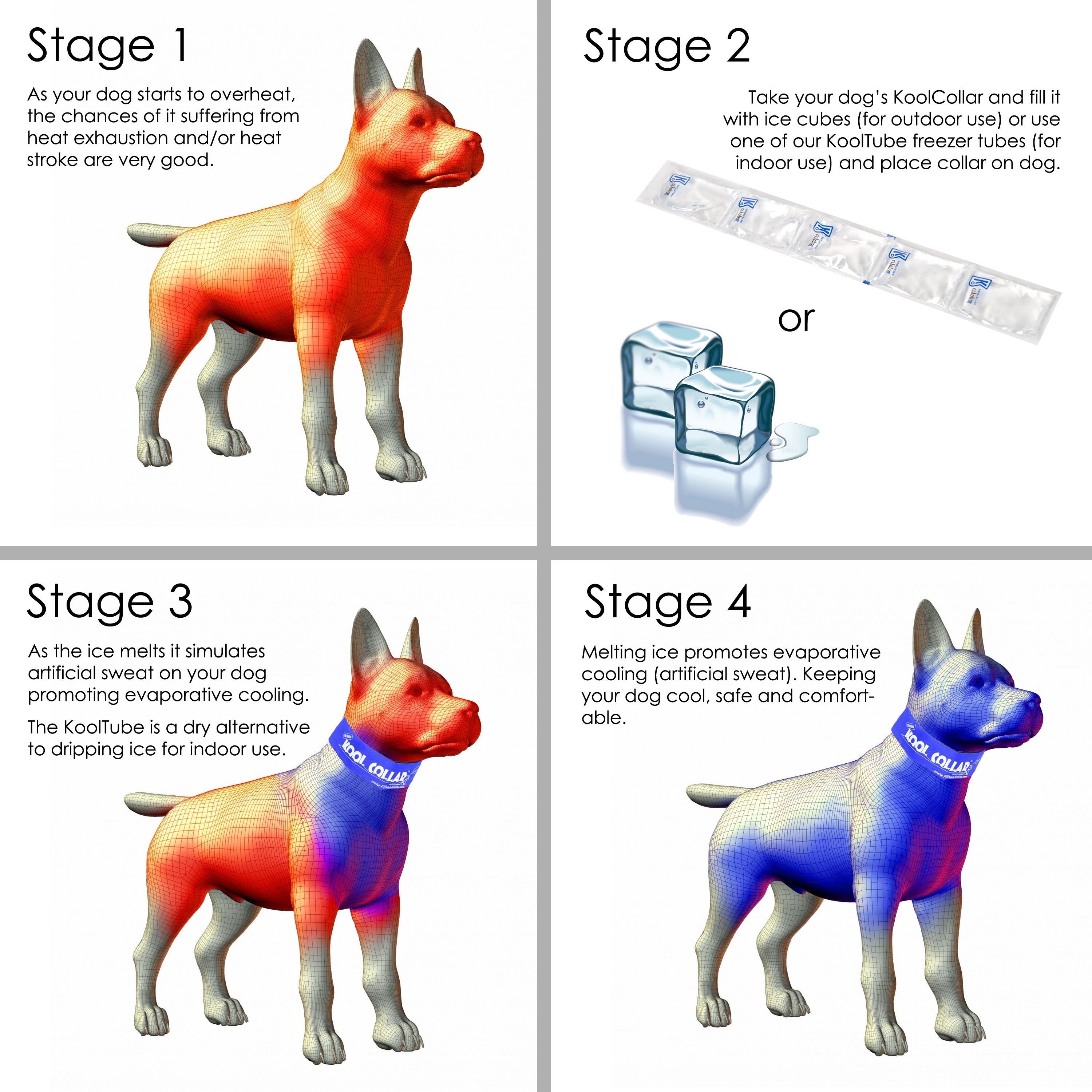 夏日避暑小妙招歌曲,夏日避暑小妙招幼儿园