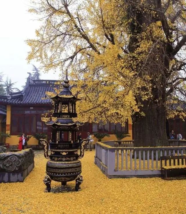 上海古镇十大必去景点旅游攻略,上海附近古镇旅游景点大全排名