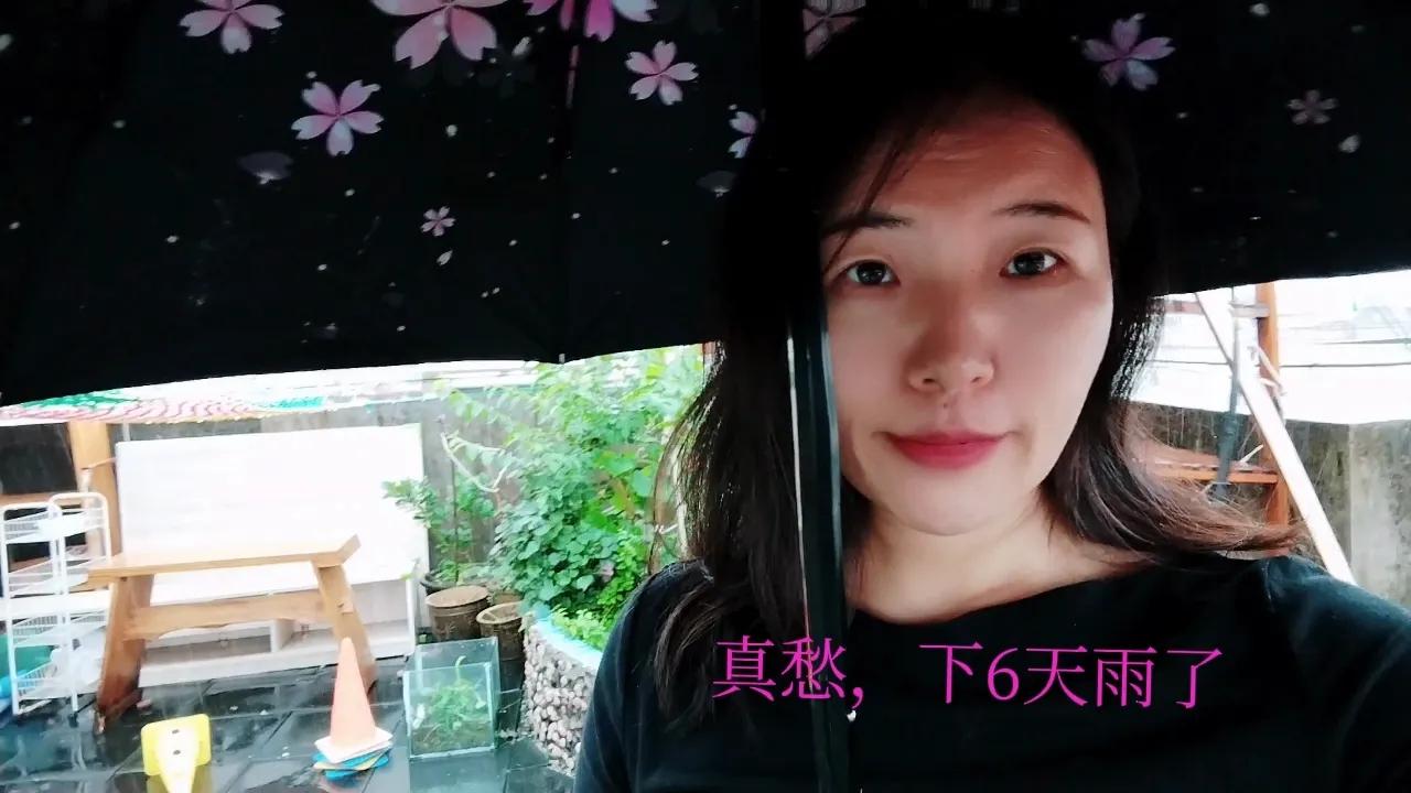 月季黑斑病最有效的方法,月季黑斑病的原因及处理