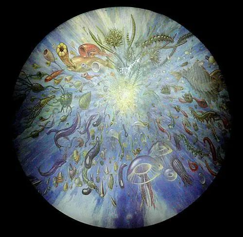 最新研究称章鱼或于5亿年前来到地球,为何总说章鱼是外星生物?