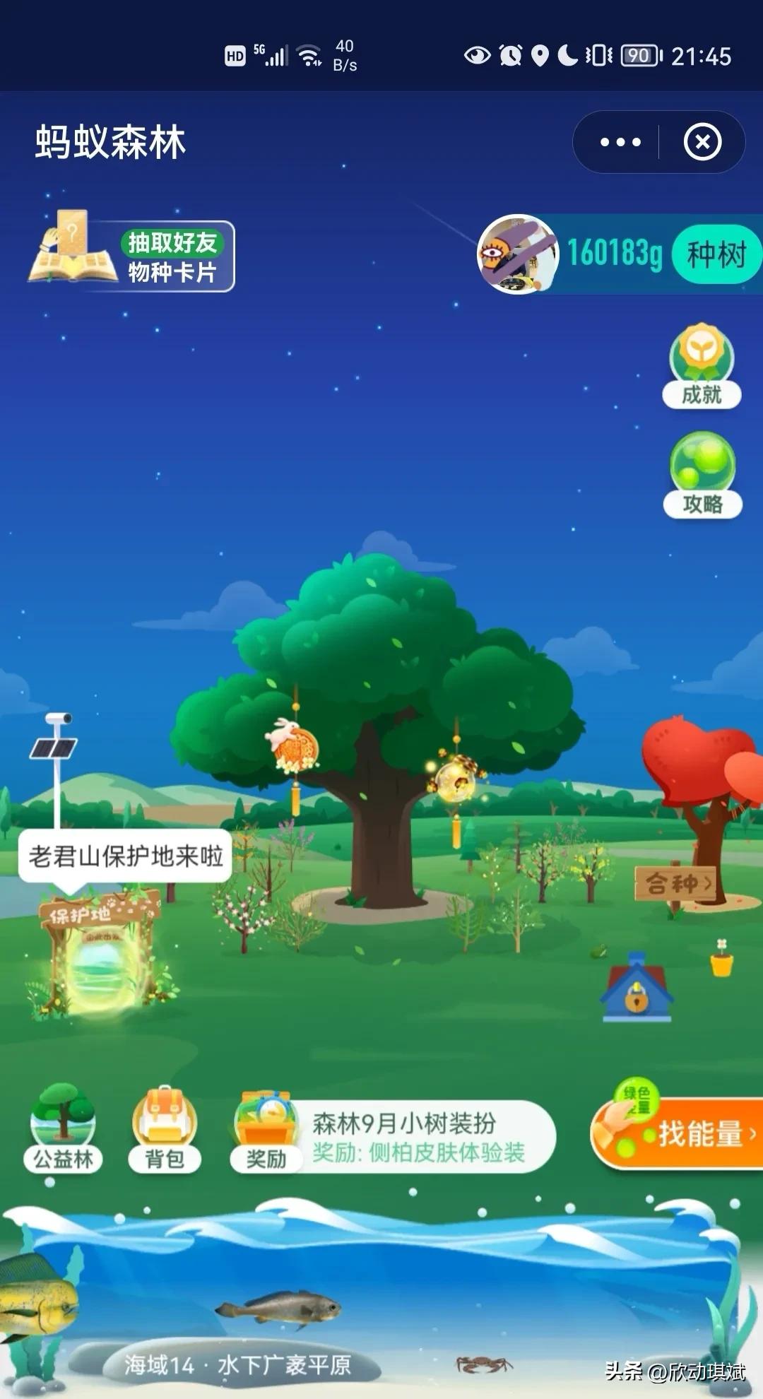 支付宝蚂蚁森林步数在哪设置,支付宝蚂蚁森林