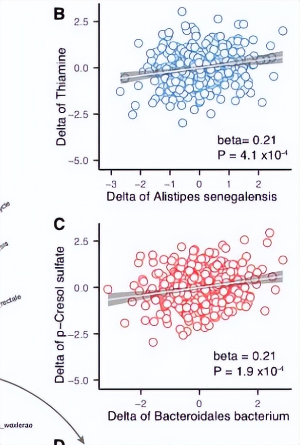 热带植物小果榕光合作用对光抑制的高敏感性