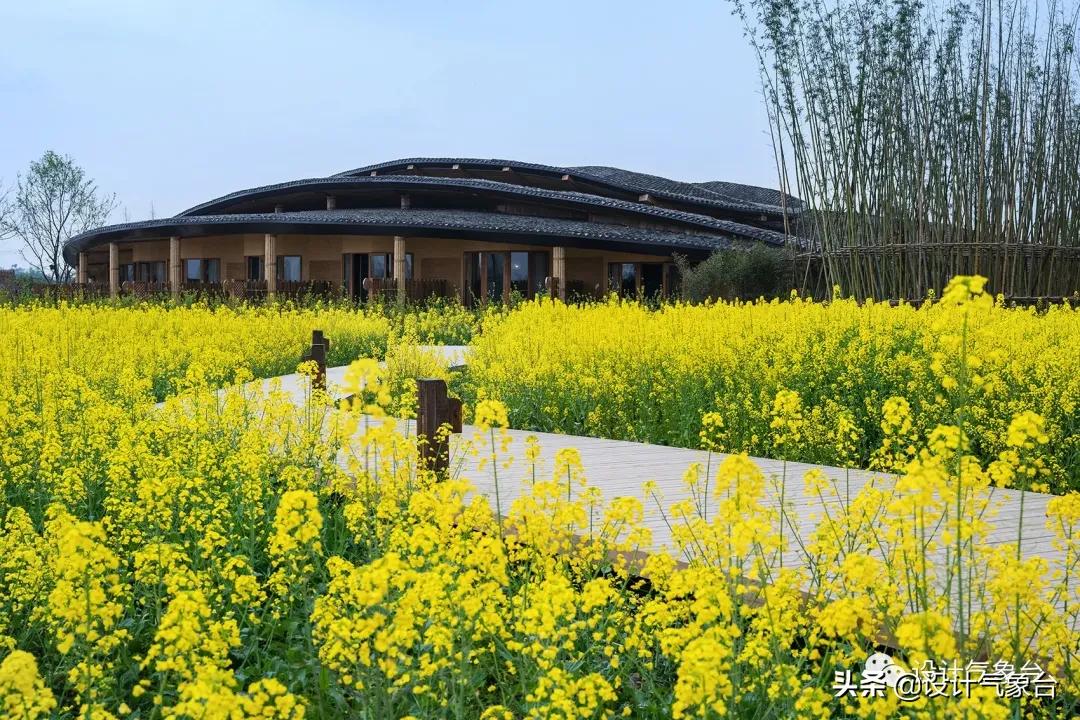 俞孔坚的设计作品,俞孔坚景观设计学