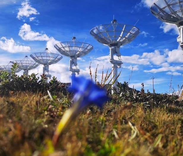 中科院芯片突破央视新闻,里程碑式突破中科院