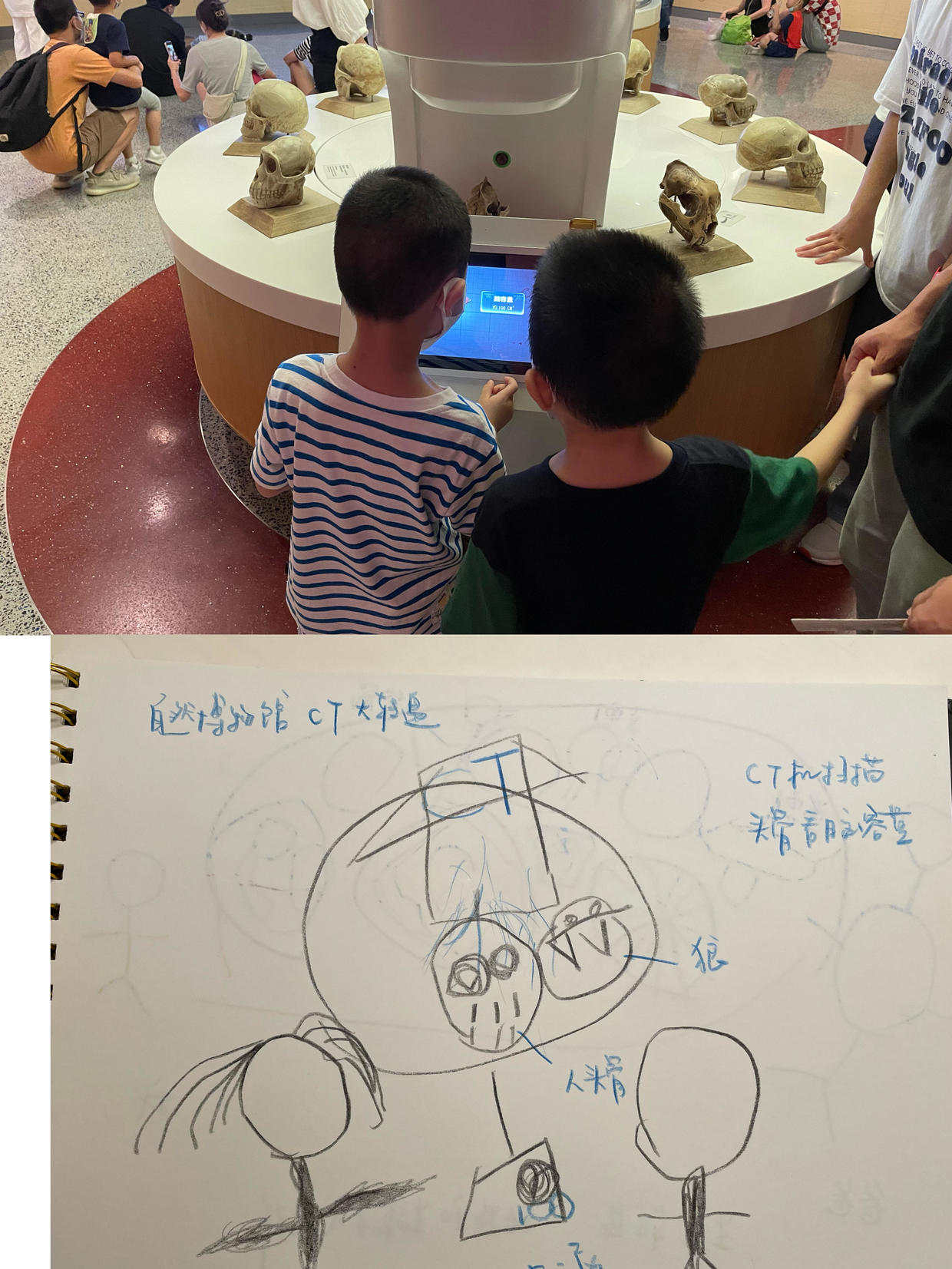 上海自然博物馆参观攻略,上海值得看的自然博物馆