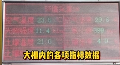 中国第一的农业大省,中国蔬菜大省山东