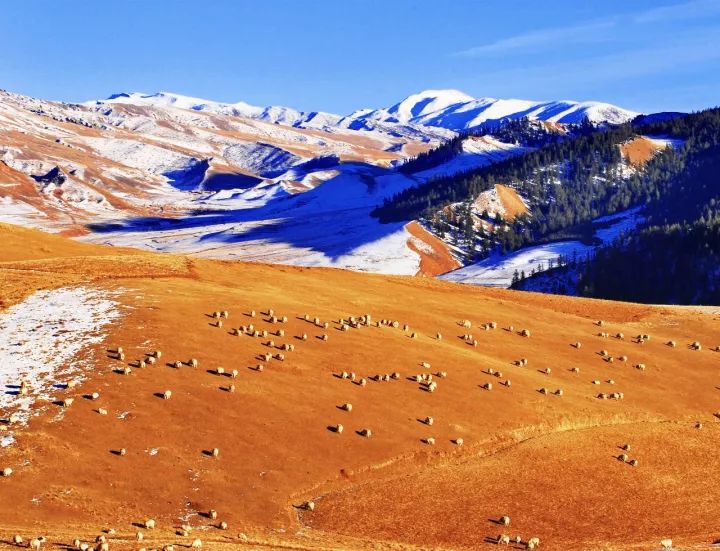 什么是甘肃,什么是甘肃地震