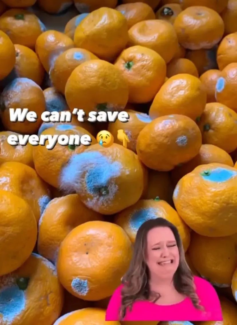 长得丑被抛弃,长得丑被人抛弃