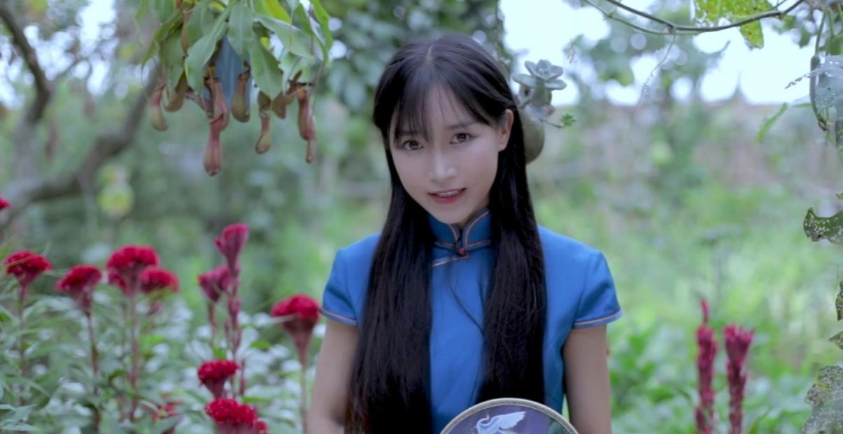 李子柒停更一年，外网视频*放播**还能产生广告收益，高达78万元每月