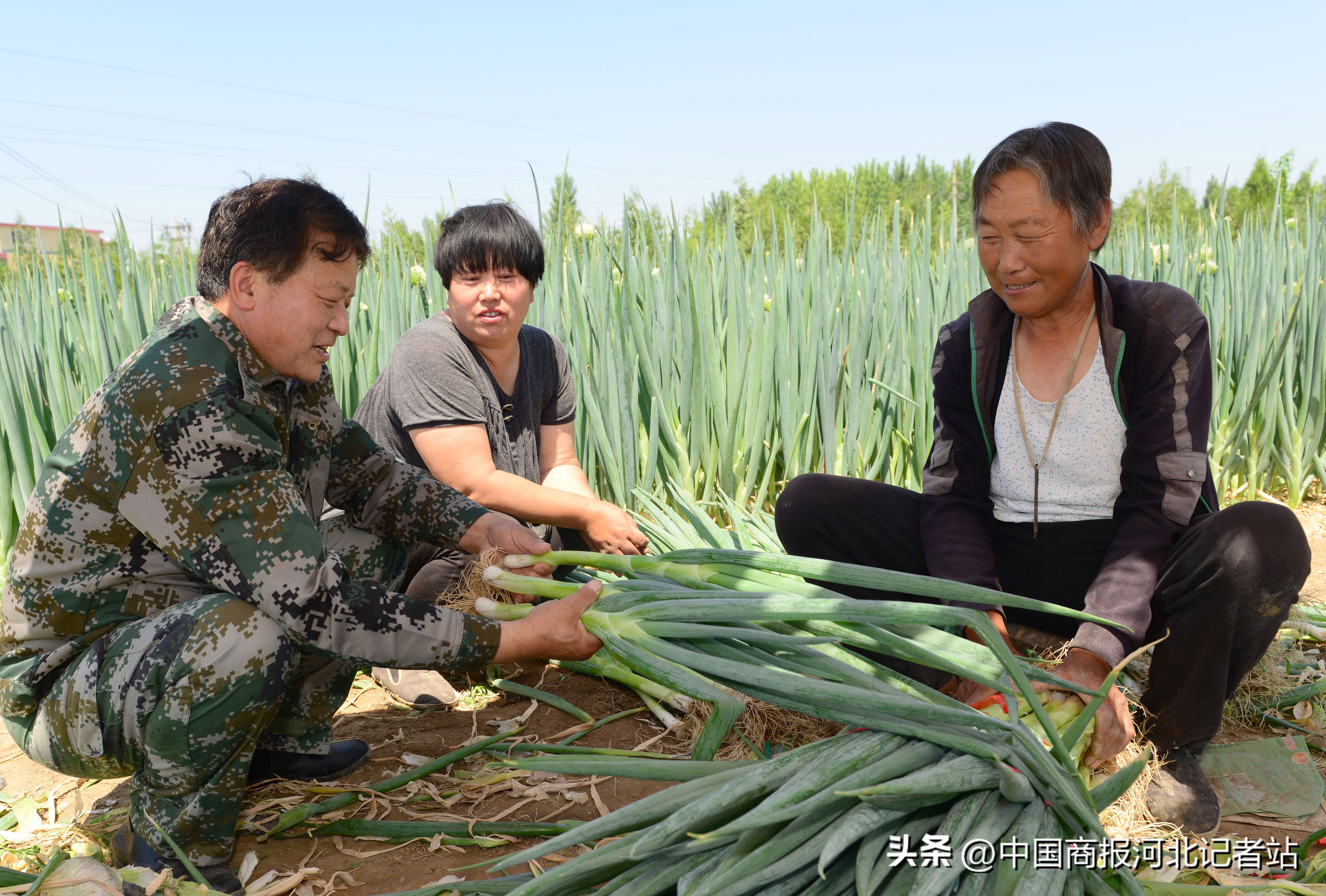 大校村官石炳启平凡岗位再立新功,大校村官石炳启的一天