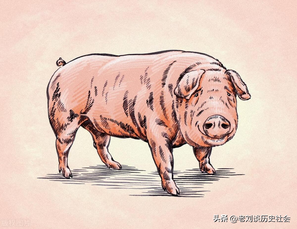 今年猪哪几个月财运最好,一月猪