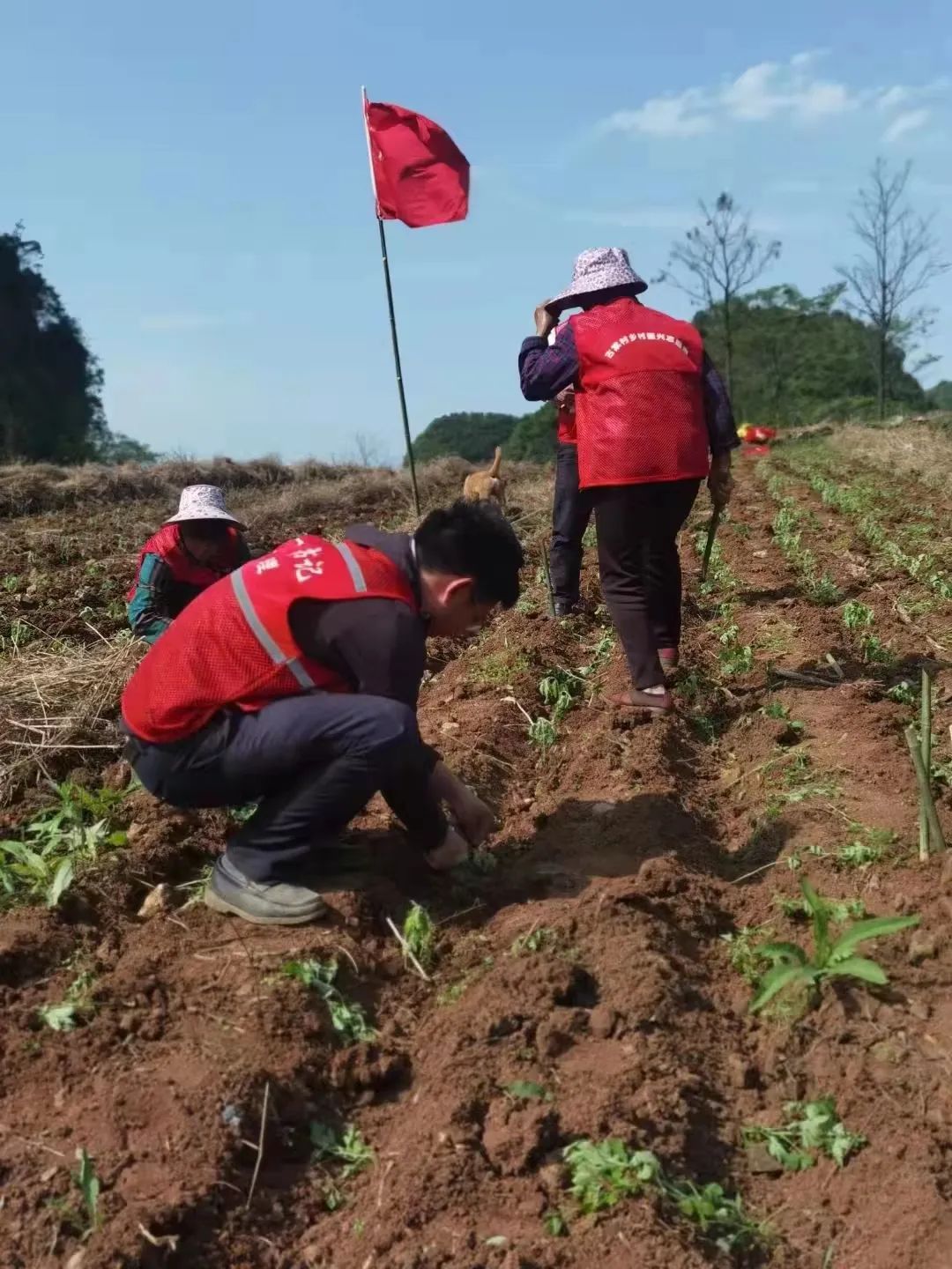 周理，武大为你鼓掌