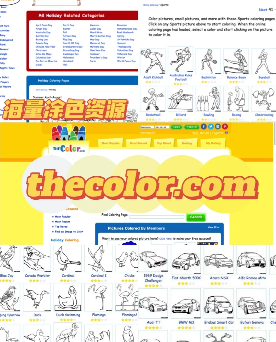 早教资源免费下载网站,1-3岁早教网站