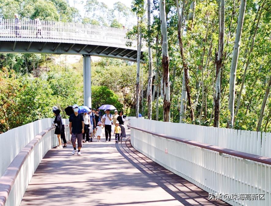 登山赏景、运动健身…快来打卡高新区秋游好去处！