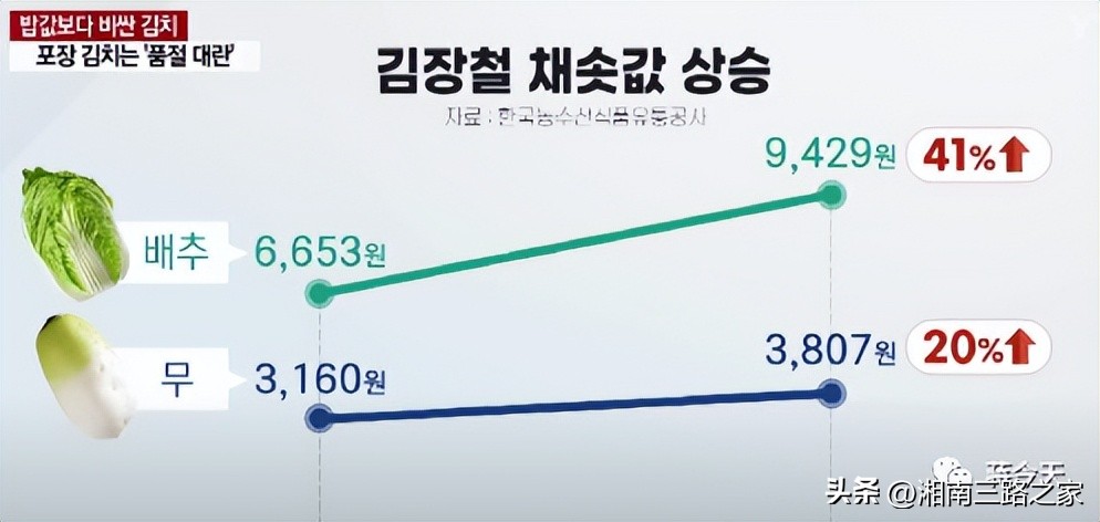 韩国大白菜价飙涨到45元一颗，韩媒：中国产泡菜成救兵