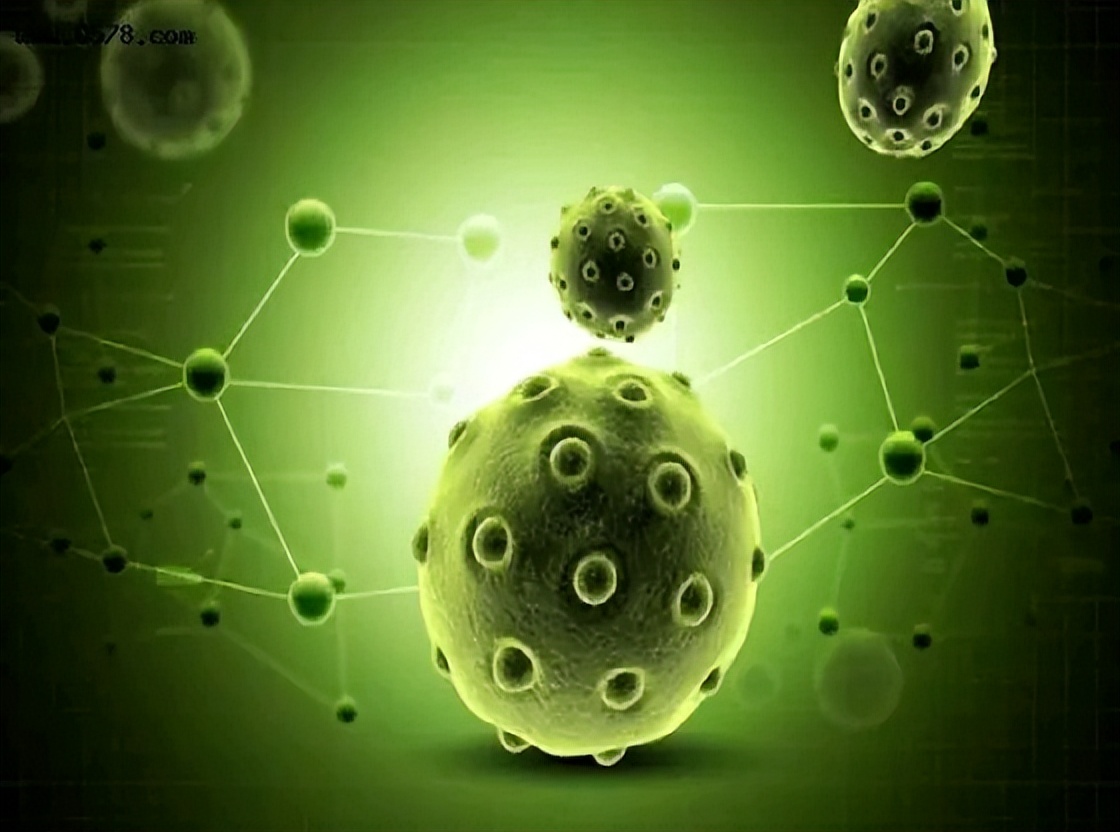 慢性炎症患者怎样预防癌变,慢性炎症诱发肿瘤