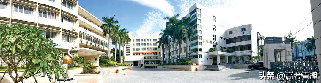 深职全国专科排名,2021广东公办专科学校排名