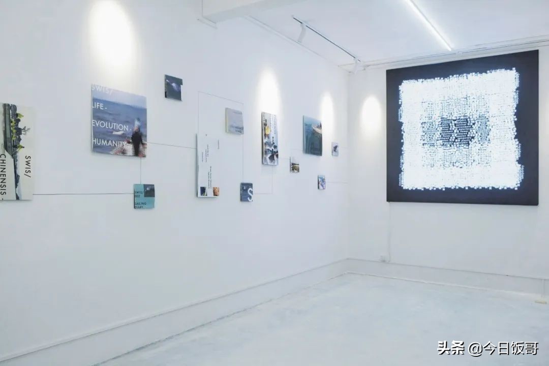 深圳清明旅游海边推荐哪里,深圳清明海边旅游攻略